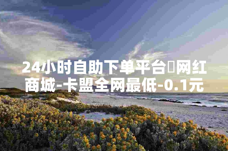 24小时自助下单平台✨网红商城-卡盟全网最低-0.1元