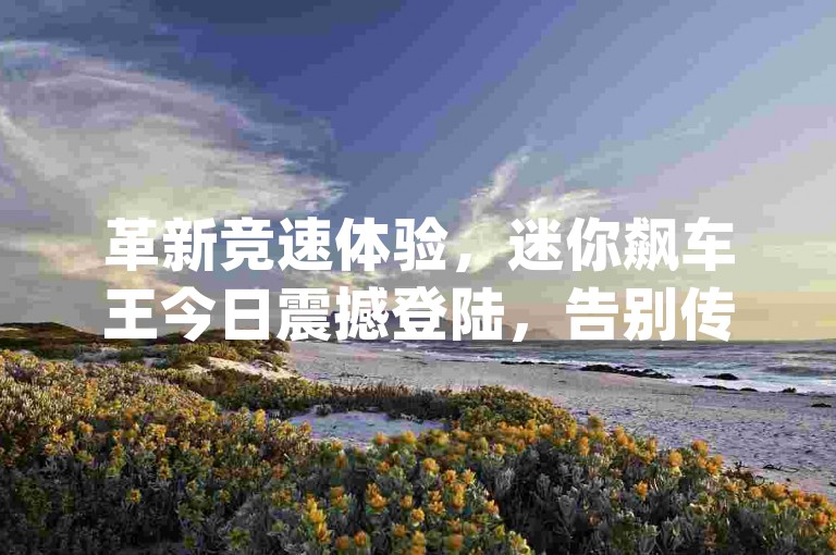 革新竞速体验，迷你飙车王今日震撼登陆，告别传统赛道新纪元！抖音回森24小时免费下单平台-dy24小时在线下单平台-卡盟下单平台在线✨🚀🚀🚀🔥