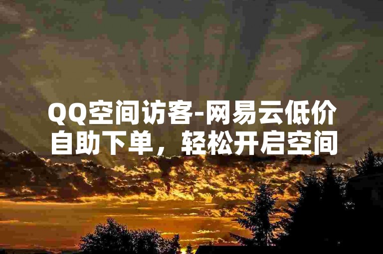 QQ空间访客-网易云低价自助下单，轻松开启空间之旅✨