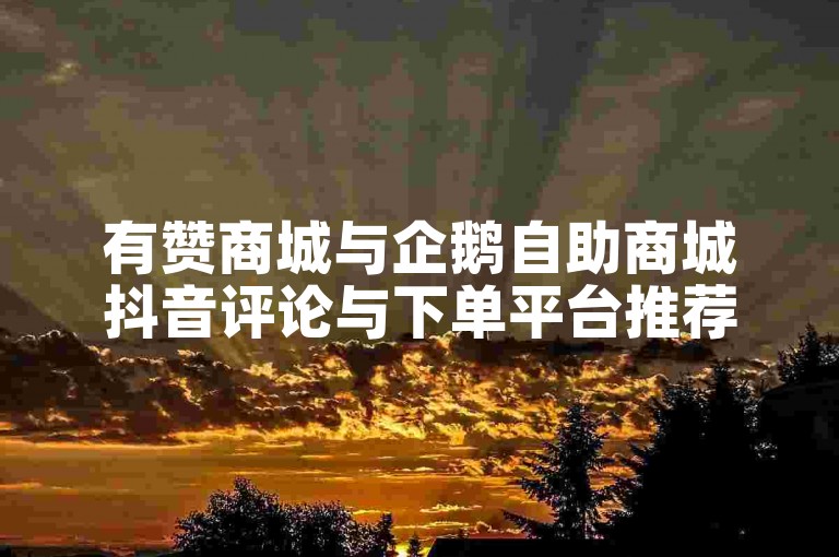 有赞商城与企鹅自助商城抖音评论与下单平台推荐✨✨✨