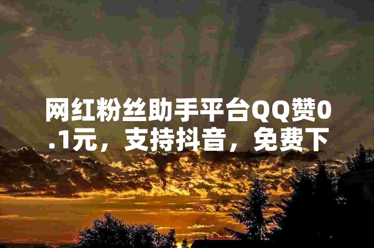 网红粉丝助手平台QQ赞0.1元，支持抖音，免费下单！✨✨✨