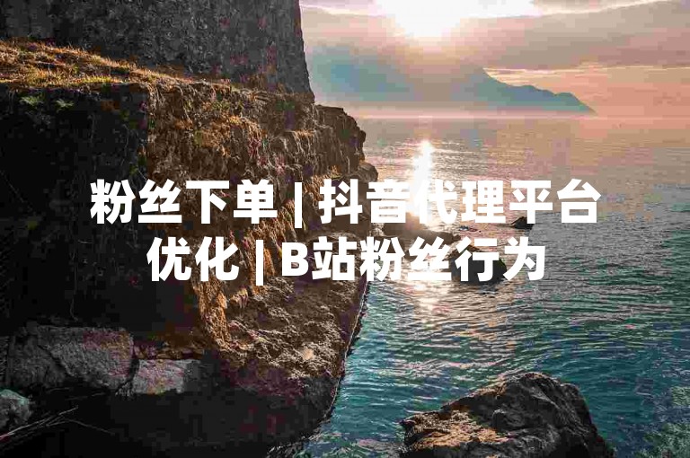 粉丝下单 | 抖音代理平台优化 | B站粉丝行为