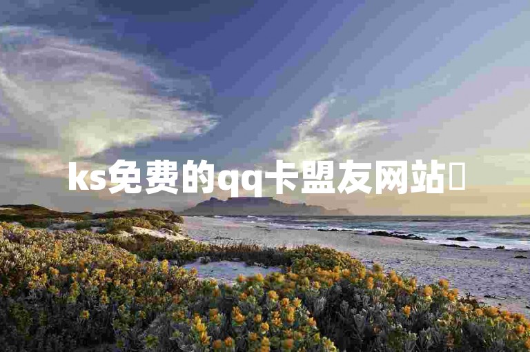 ks免费的qq卡盟友网站✨