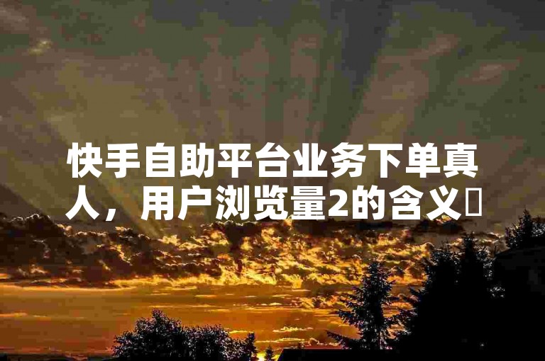 快手自助平台业务下单真人，用户浏览量2的含义✨✨✨✨