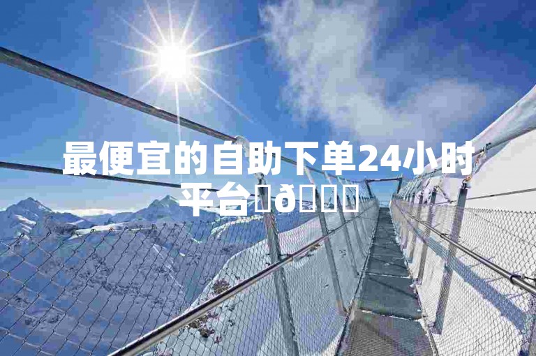 最便宜的自助下单24小时平台✨🚀