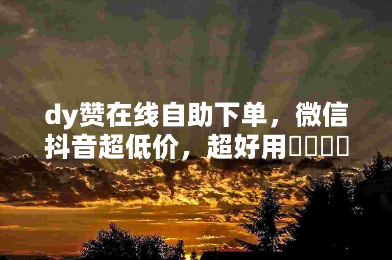 dy赞在线自助下单，微信抖音超低价，超好用✨✨✨✨