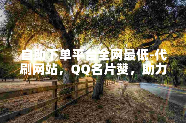 自助下单平台全网最低-代刷网站，QQ名片赞，助力高效购物！✨