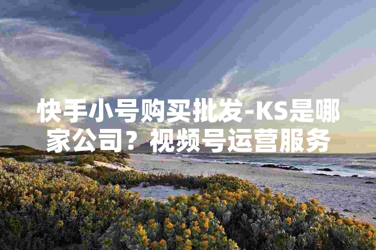 快手小号购买批发-KS是哪家公司？视频号运营服务商，云手机系统！🚀🚀🚀