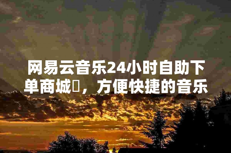 网易云音乐24小时自助下单商城✨，方便快捷的音乐购买体验🎵