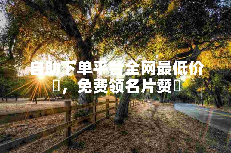 自助下单平台全网最低价✨，免费领名片赞✨