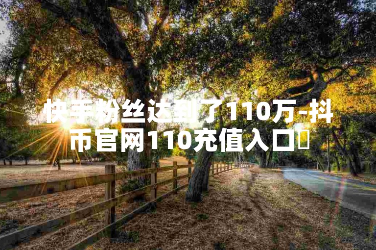 快手粉丝达到了110万-抖币官网110充值入口✨