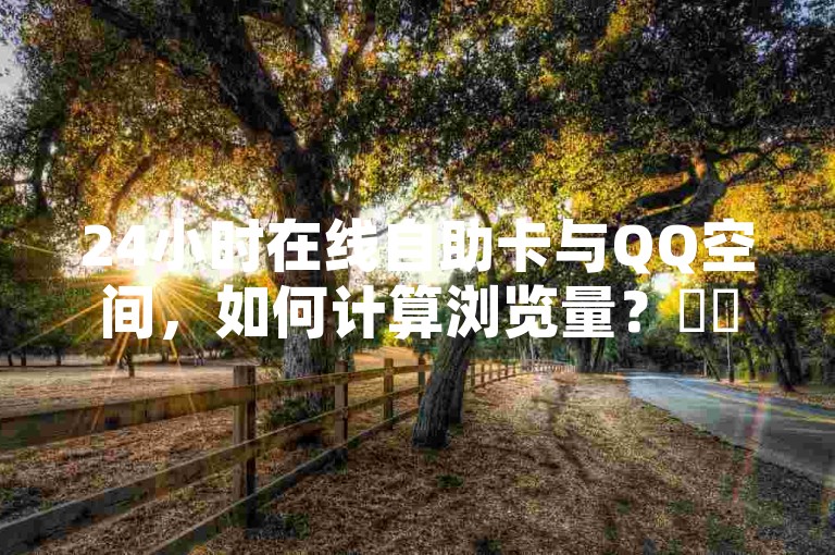 24小时在线自助卡与QQ空间，如何计算浏览量？✨✨✨✨✨✨