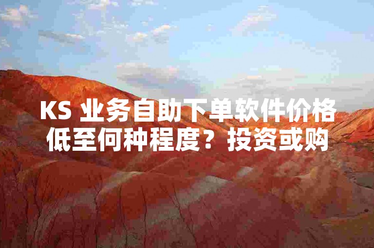 KS 业务自助下单软件价格低至何种程度？投资或购买 KS 业务自助下单软件，节省播放量！