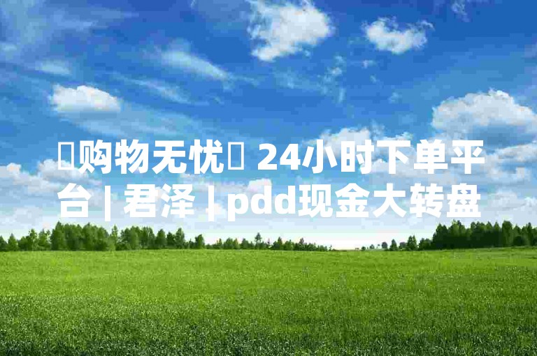 ✨购物无忧✨ 24小时下单平台 | 君泽 | pdd现金大转盘助力网站