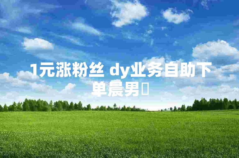 1元涨粉丝 dy业务自助下单晨男✨