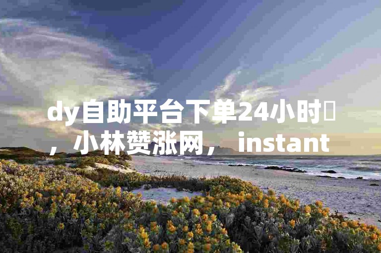 dy自助平台下单24小时✨，小林赞涨网， instant convenience✨