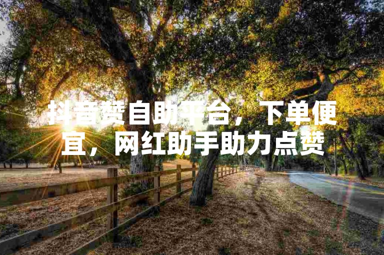 抖音赞自助平台，下单便宜，网红助手助力点赞