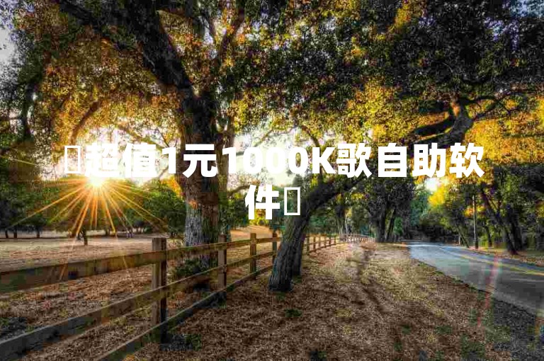✨超值1元1000K歌自助软件✨