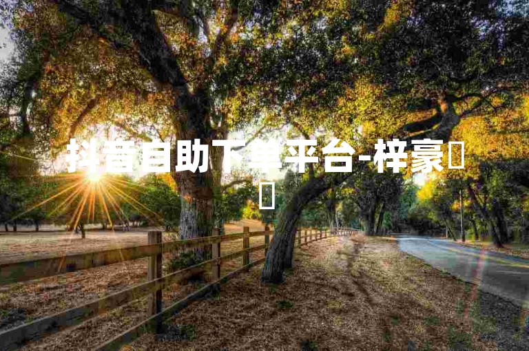 抖音自助下单平台-梓豪✨✨