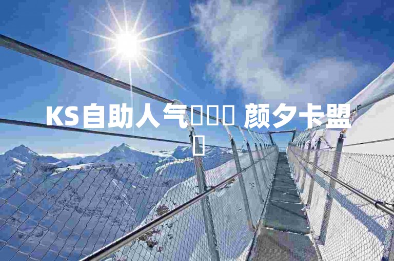 KS自助人气✨✨✨ 颜夕卡盟✨