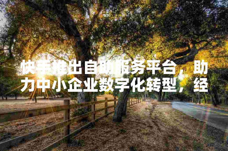 快手推出自助服务平台，助力中小企业数字化转型，经济实惠方案助力小企业快速转型！✨🚀🚀🚀🚀🚀