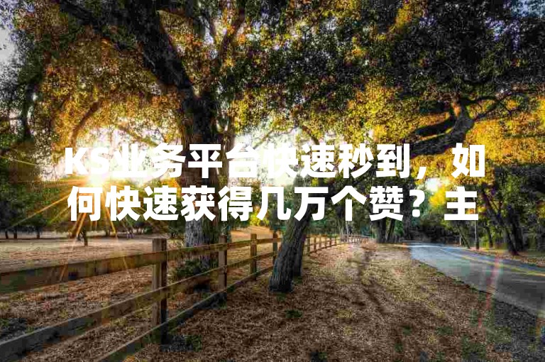 KS业务平台快速秒到，如何快速获得几万个赞？主页-✨✨✨