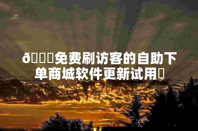 🚀免费刷访客的自助下单商城软件更新试用✨