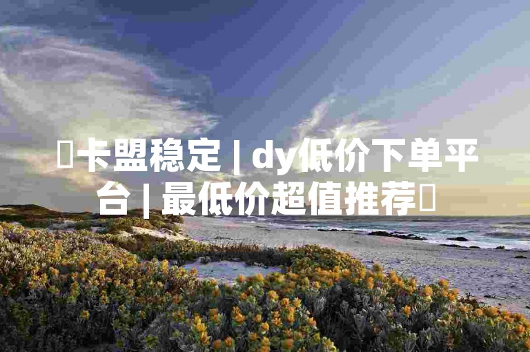 ✨卡盟稳定 | dy低价下单平台 | 最低价超值推荐✨