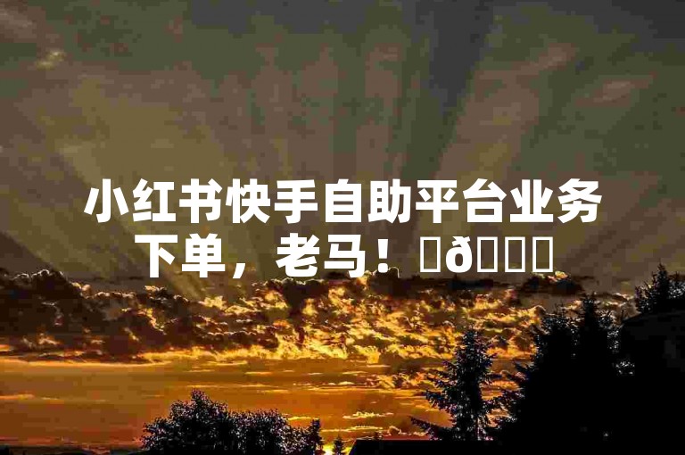 小红书快手自助平台业务下单，老马！✨🌟