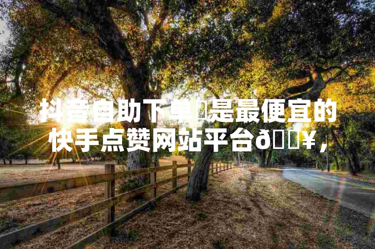 抖音自助下单✨是最便宜的快手点赞网站平台🔥，让您的购物更高效便捷！🔥