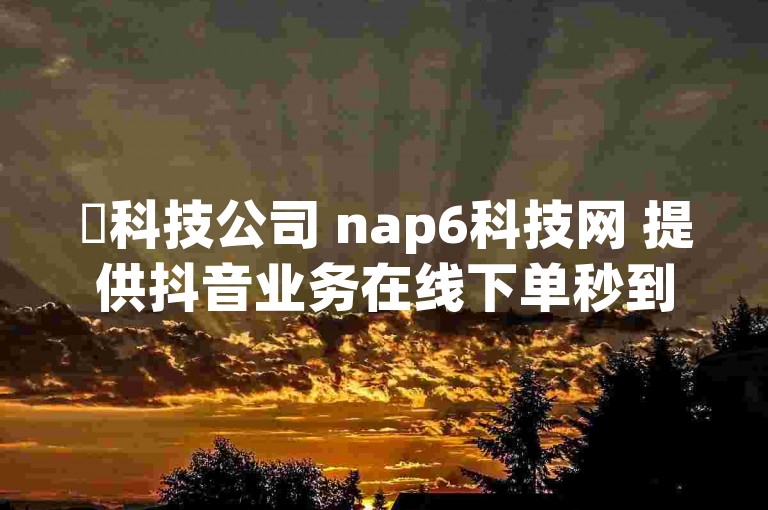 ✨科技公司 nap6科技网 提供抖音业务在线下单秒到账服务！