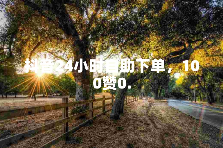 抖音24小时自助下单，100赞0.5点击率，超值优惠，快来体验✨🔥