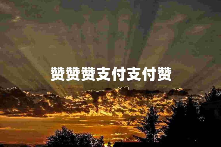 赞赞赞支付支付赞