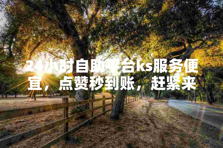 24小时自助平台ks服务便宜，点赞秒到账，赶紧来！✨✨✨