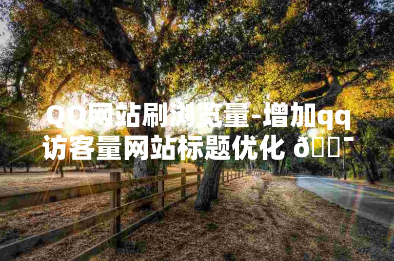 QQ网站刷浏览量-增加qq访客量网站标题优化 🎯✨