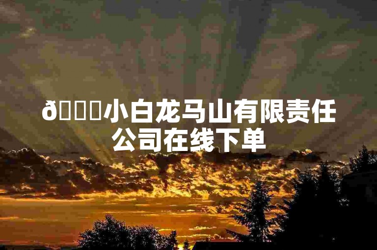 🚀小白龙马山有限责任公司在线下单