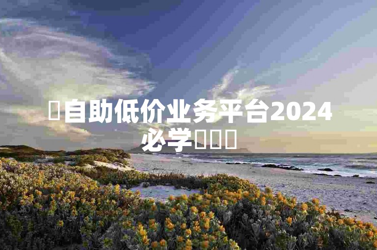 ✨自助低价业务平台2024必学✨✨✨
