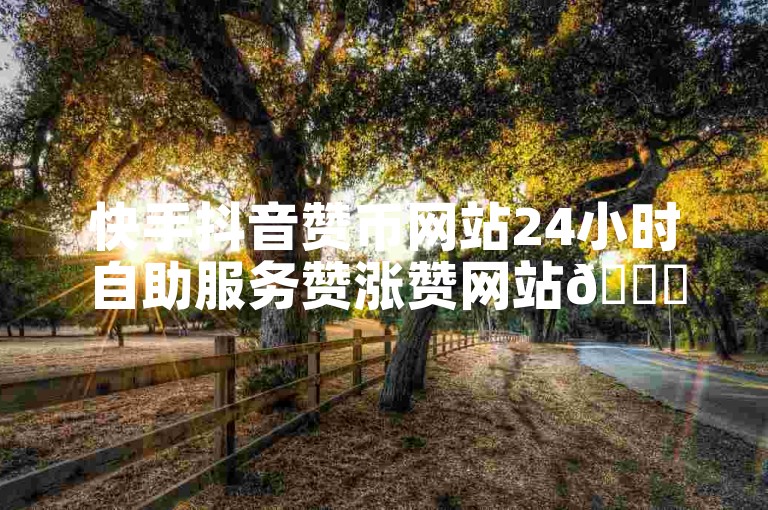 快手抖音赞币网站24小时自助服务赞涨赞网站🚀✨✨🚀