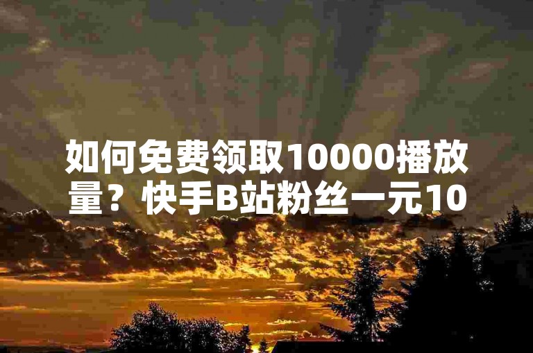 如何免费领取10000播放量？快手B站粉丝一元1000个活粉是多少？