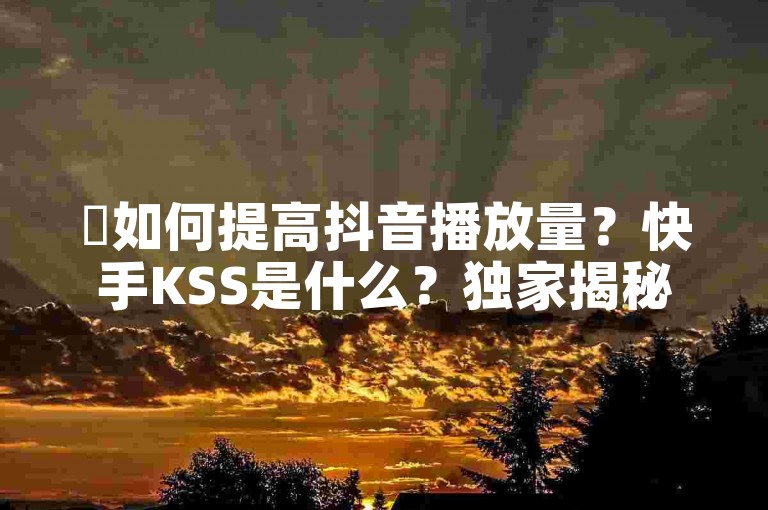 ✨如何提高抖音播放量？快手KSS是什么？独家揭秘再战✨