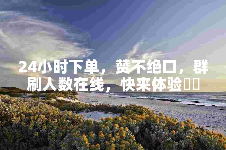 24小时下单，赞不绝口，群刷人数在线，快来体验✨✨✨✨✨