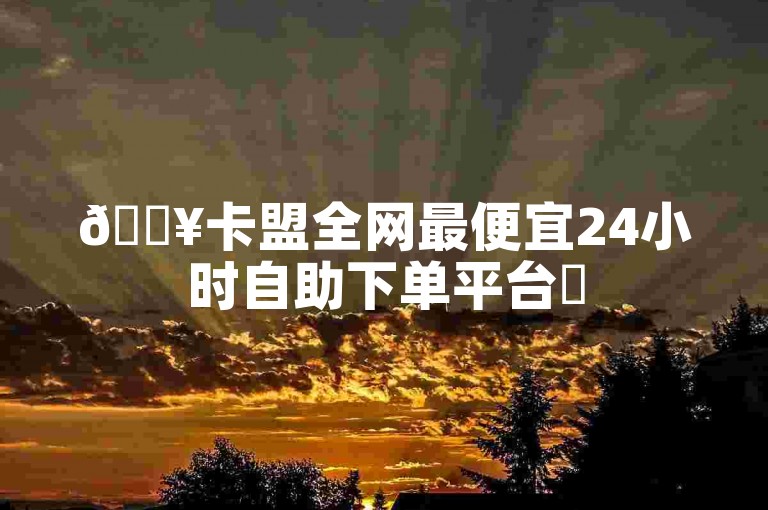 🔥卡盟全网最便宜24小时自助下单平台✨