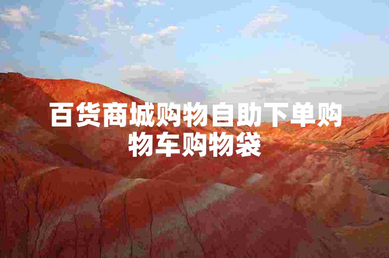 百货商城购物自助下单购物车购物袋