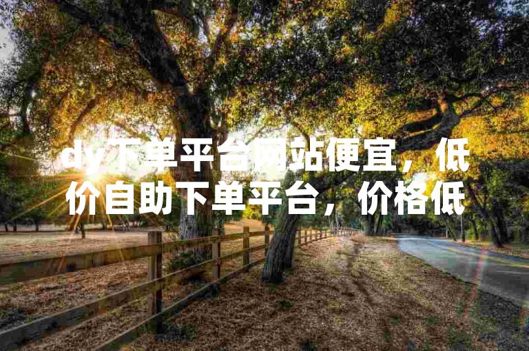 dy下单平台网站便宜，低价自助下单平台，价格低、功能多、便捷快！🚀✨🌟