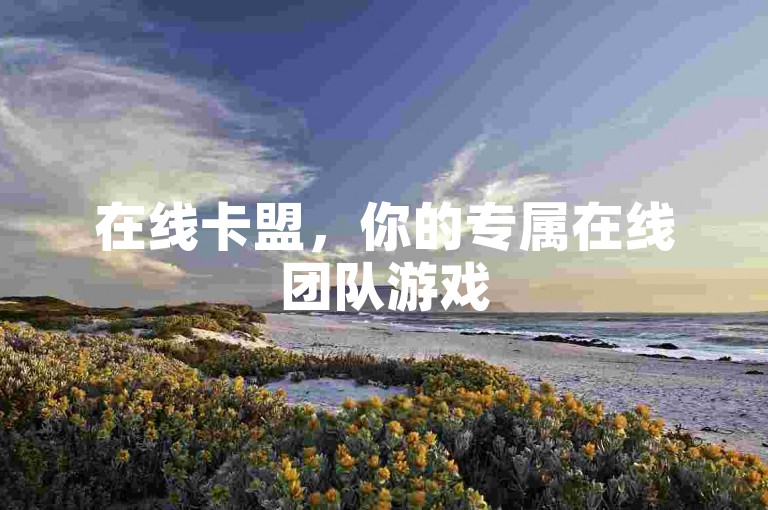 在线卡盟，你的专属在线团队游戏