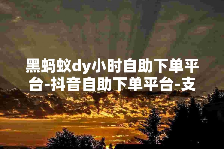 黑蚂蚁dy小时自助下单平台-抖音自助下单平台-支付流程