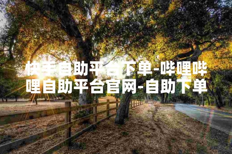 快手自助平台下单-哔哩哔哩自助平台官网-自助下单-最专业的平台✨✨✨