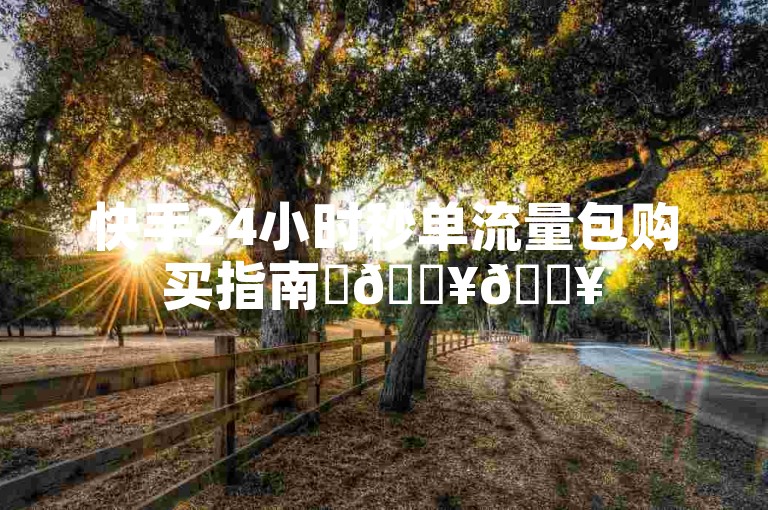 快手24小时秒单流量包购买指南✨🔥🔥