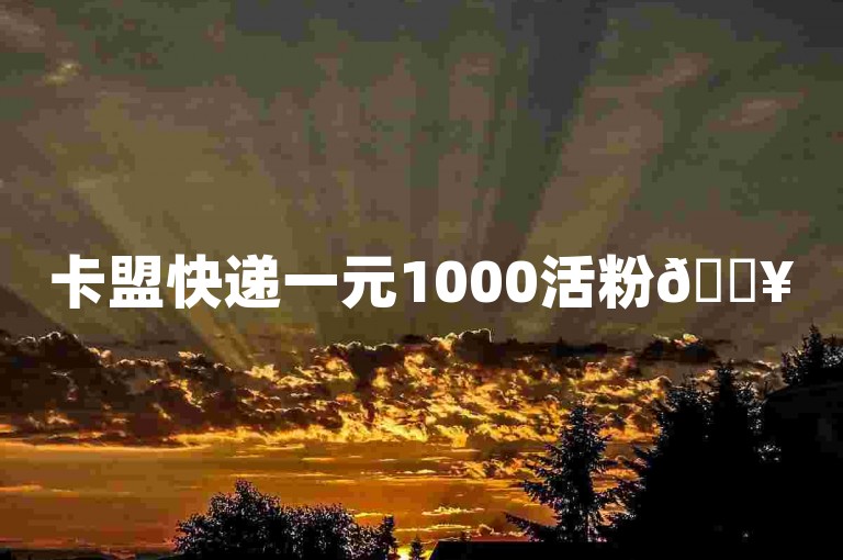 卡盟快递一元1000活粉🔥