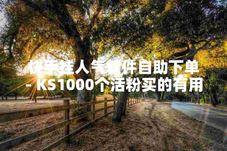 快手挂人气软件自助下单- KS1000个活粉买的有用吗✨